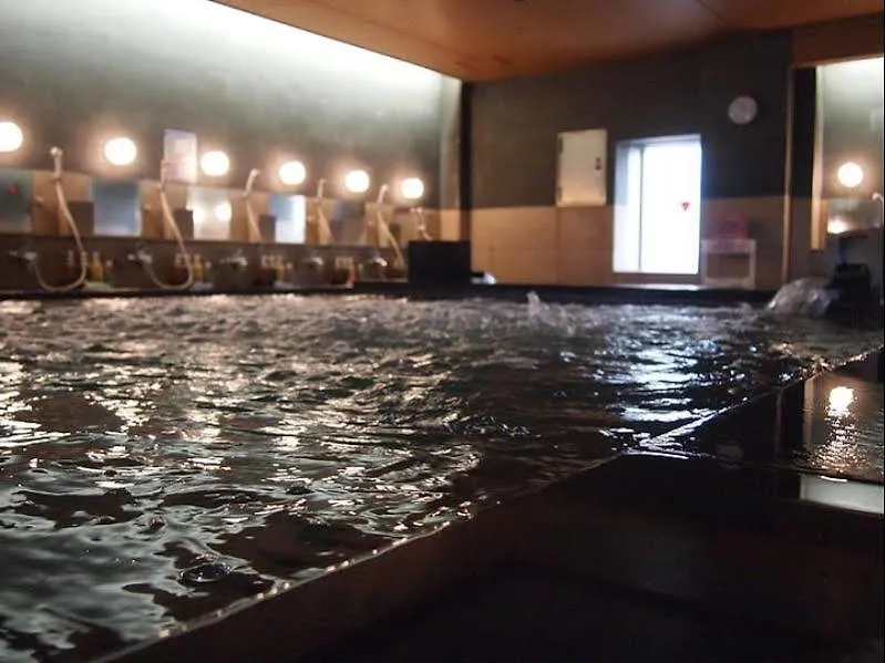 Rex Inn Kawasaki Kawasaki  Hôtel capsule